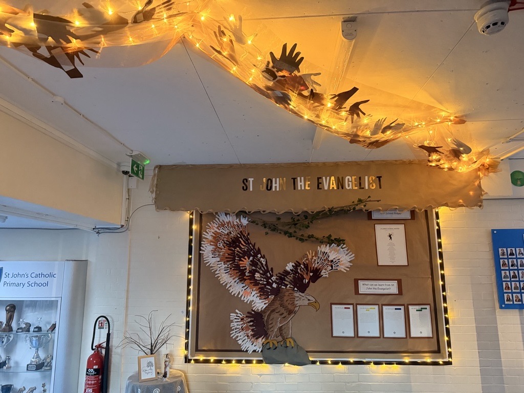 st johns display